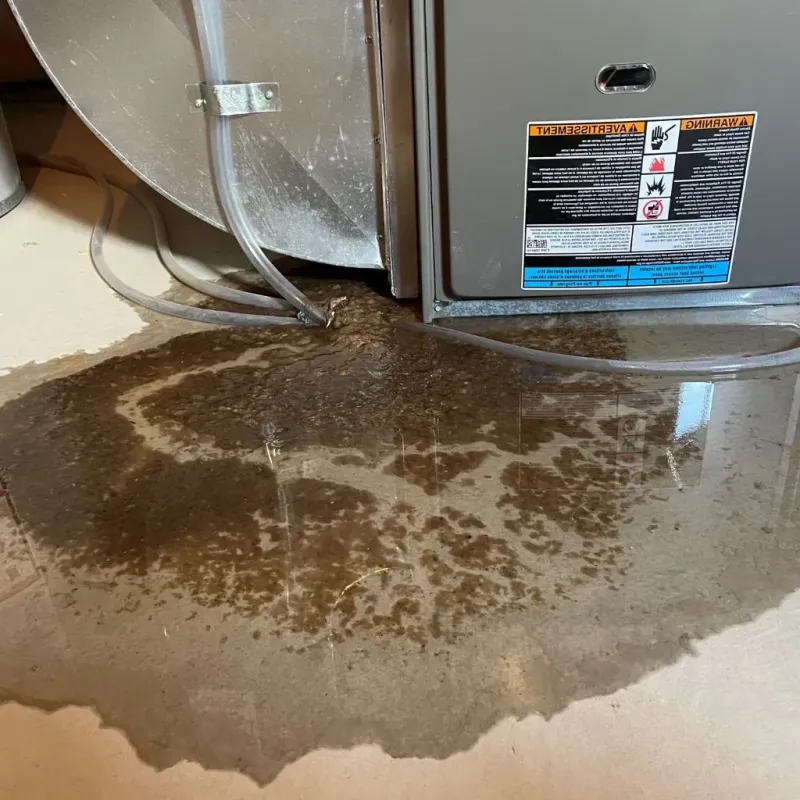 Pipe Burst and Leak Restoration in Winslow, ME