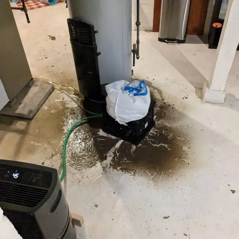 Sewage Backup Cleanup Service in Winslow, ME